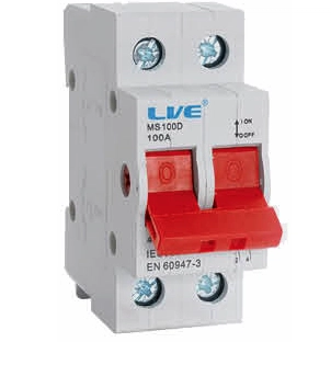 Liveelec Main Switch DP 100A